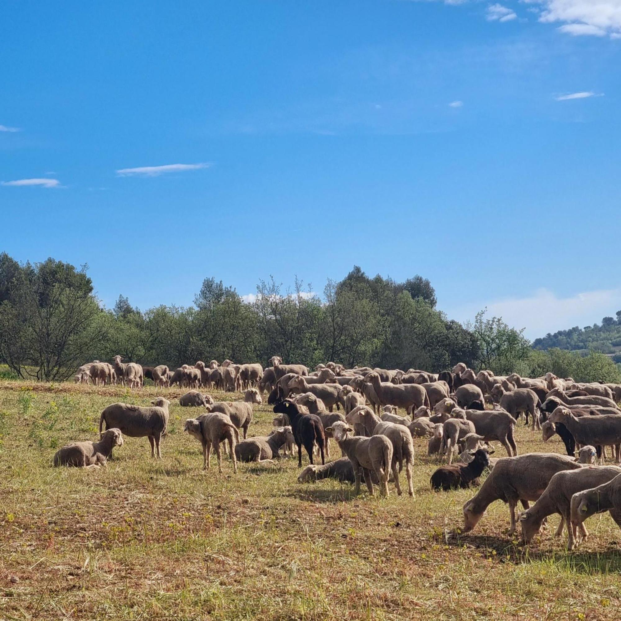 L'Oustaou Du Luberon Et Spa Villelaure Eksteriør billede
