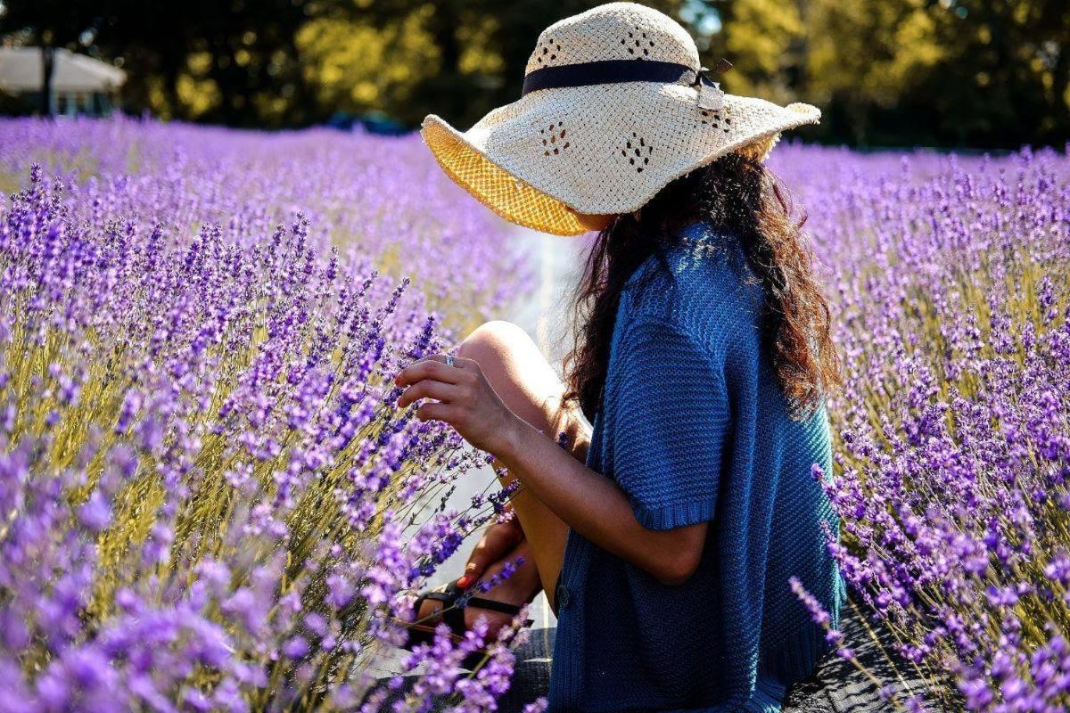L'Oustaou Du Luberon Et Spa Villelaure Eksteriør billede